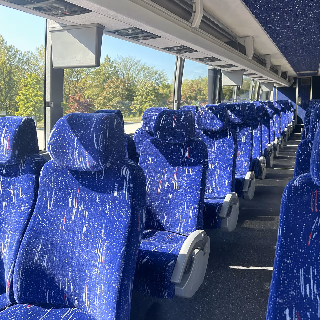 charter buses for abilene zoo field trips in nelson park