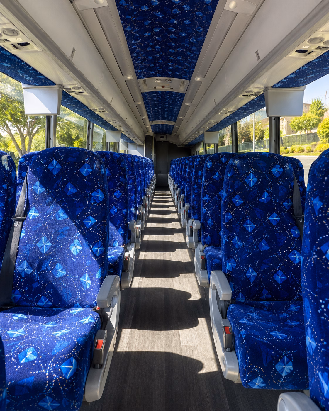 school buses for abilene state park and outdoor science trips